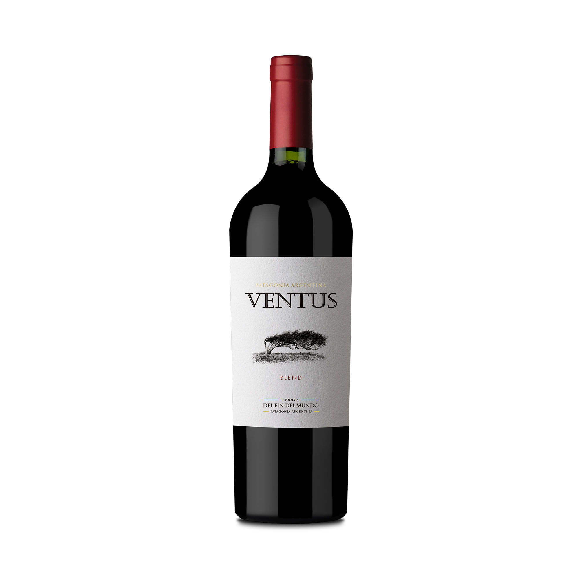Vino tinto blend Ventus 750 cc.