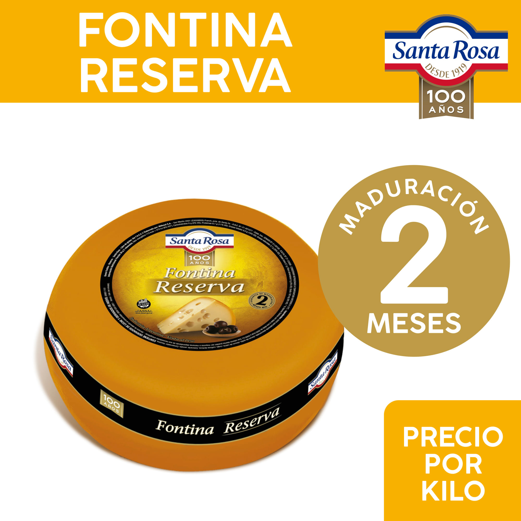 Queso fontina Santa Rosa reserva horma x kg.