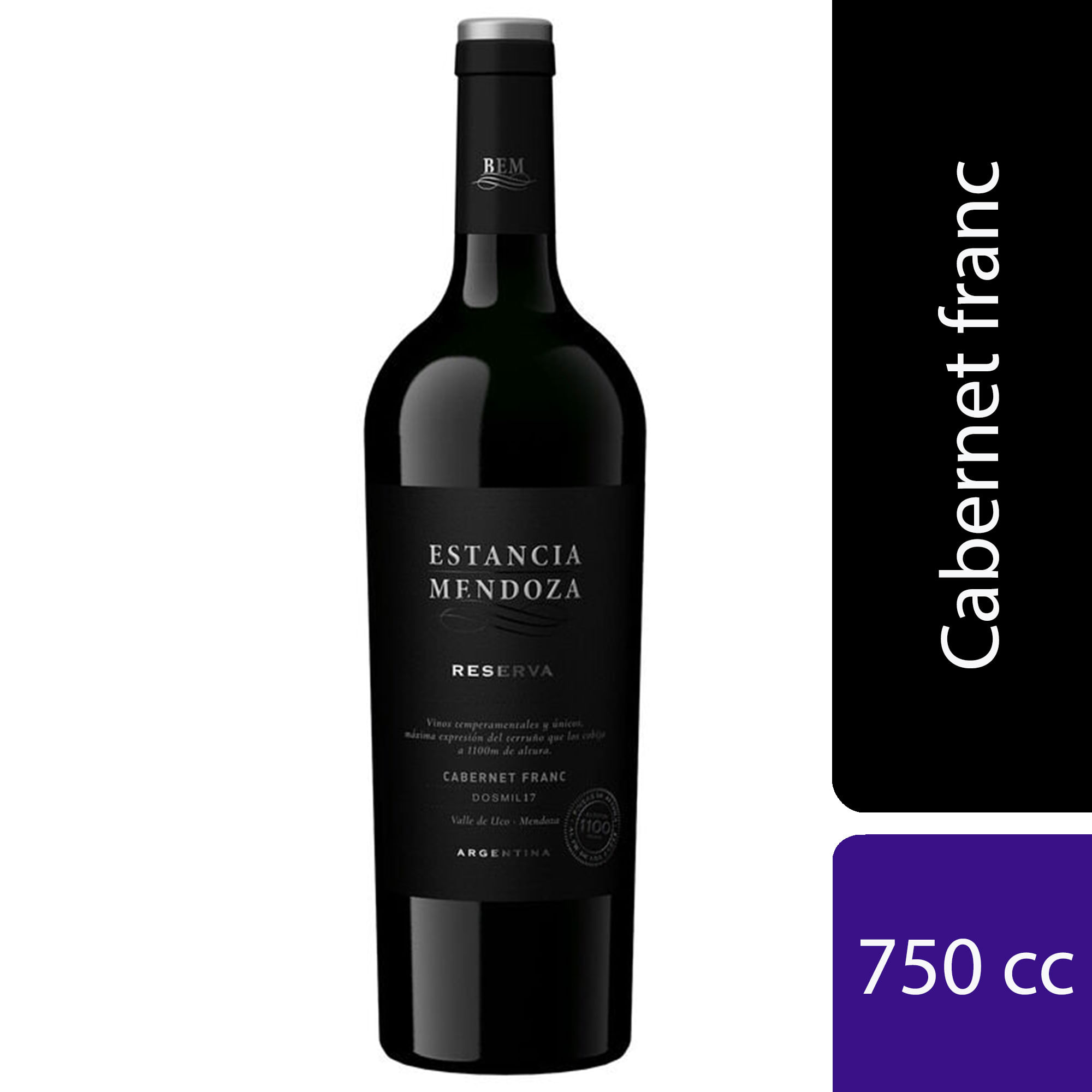 Vino tinto Cabernet Franc Estancion Mendoza 750 ml