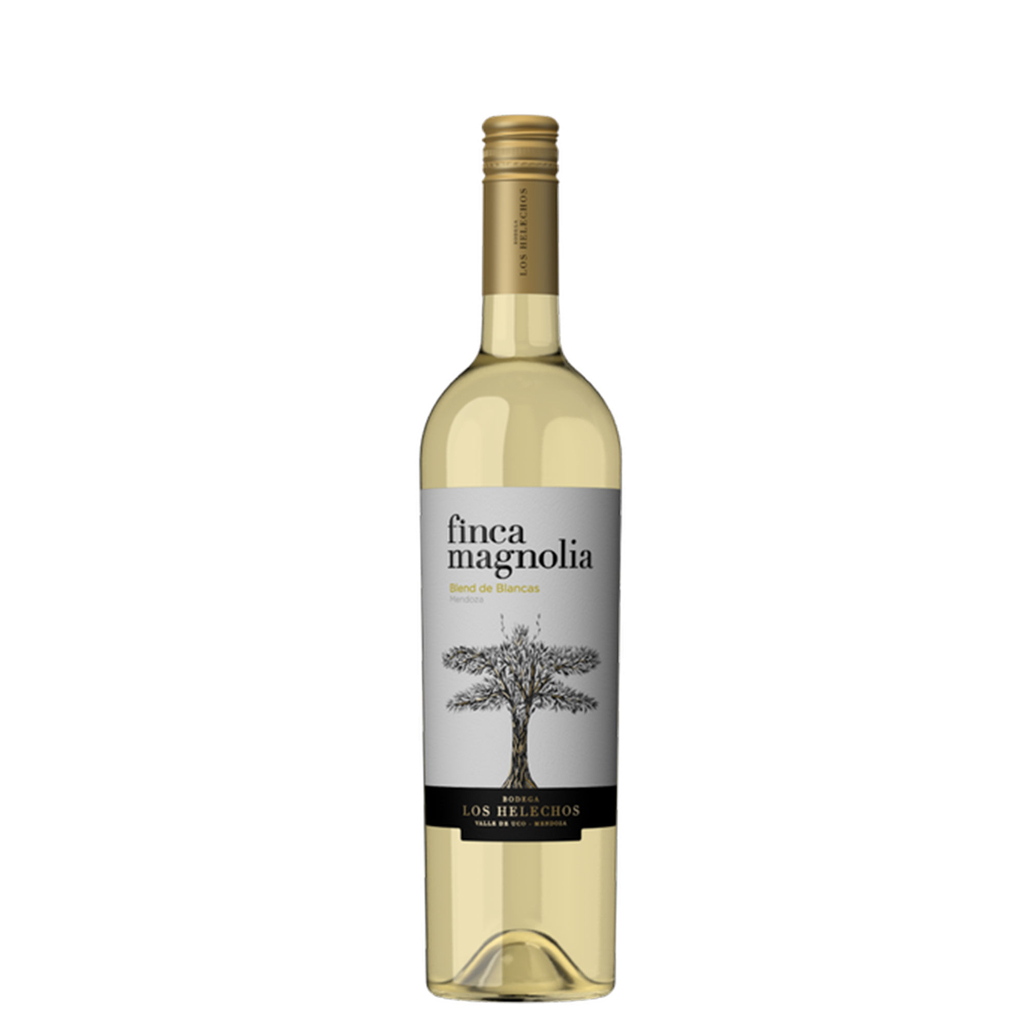 Vino blanco Blend Finca Magnolia 750 ml