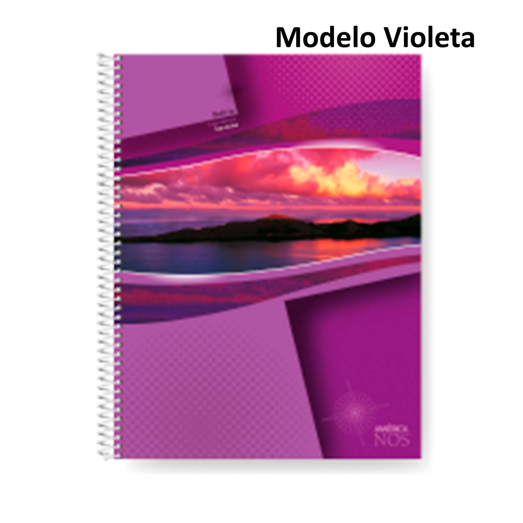 Cuaderno América Rayado Con Espiral  29,7 80 Hojas Surtido