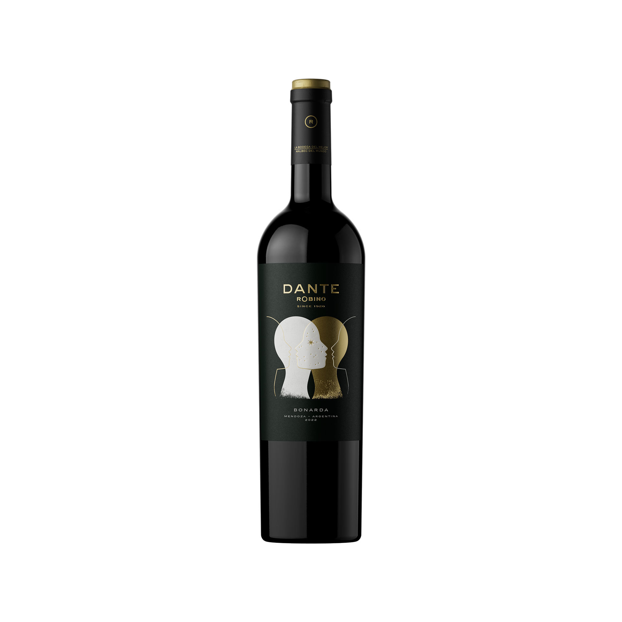 Vino tinto Bonarda Dante Robino en botella 750 ml