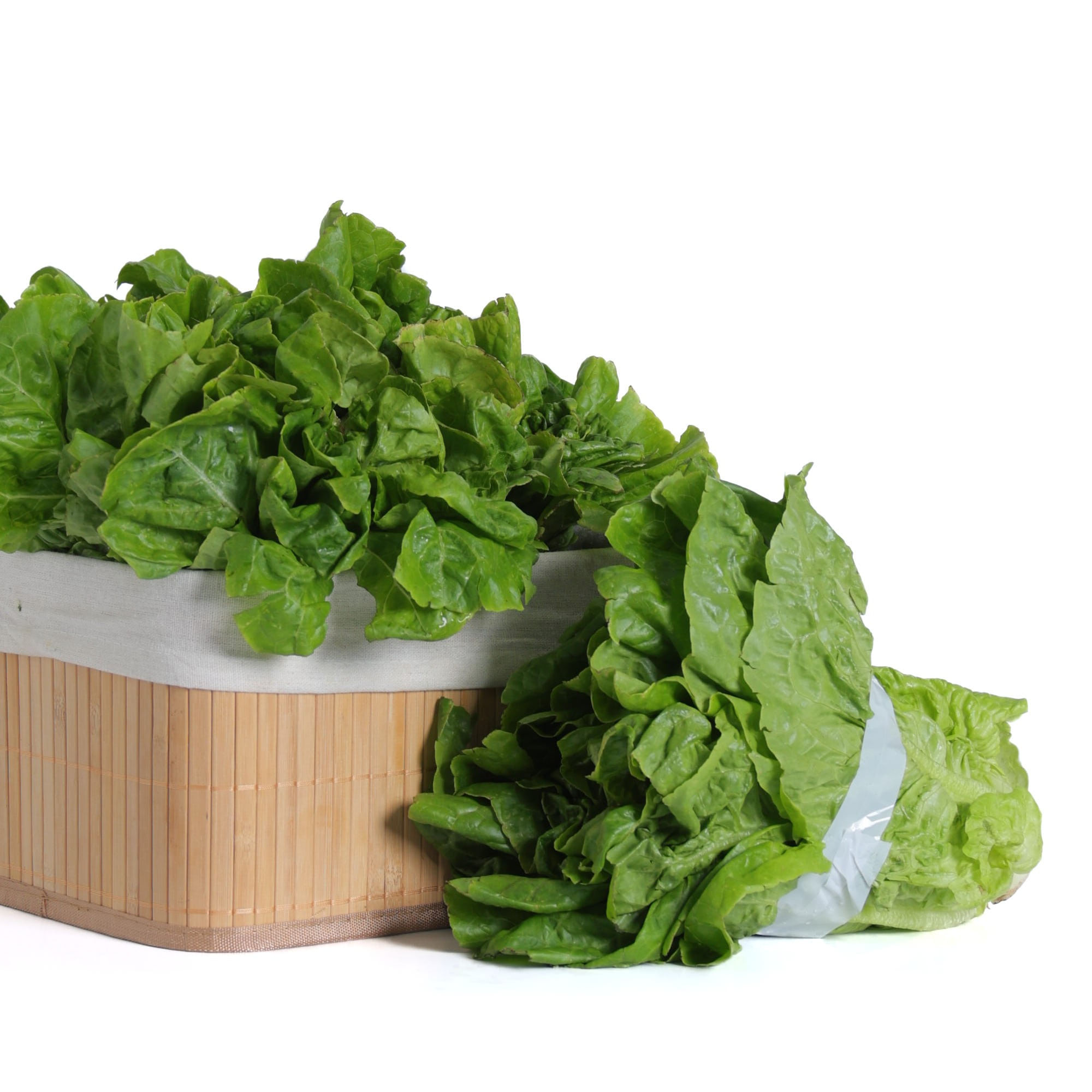 Lechuga criolla x kg.