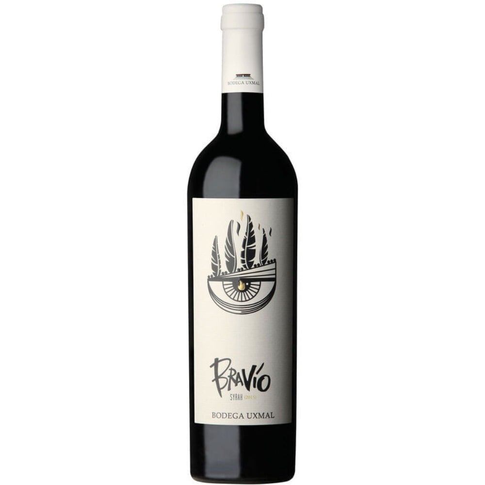 Vino tinto Syrah Bravío 750 ml