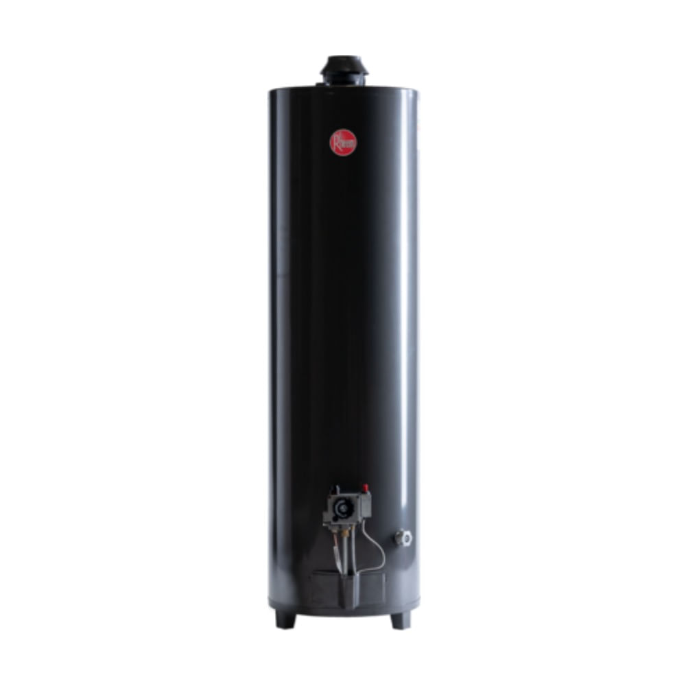 Termotanque Rheem Alta Potencia 160 Lts Gas Natural