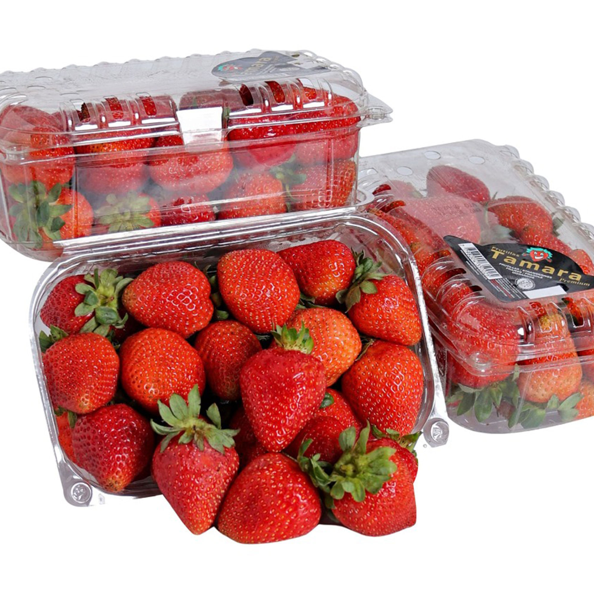 Frutillas Tamara 500 grs