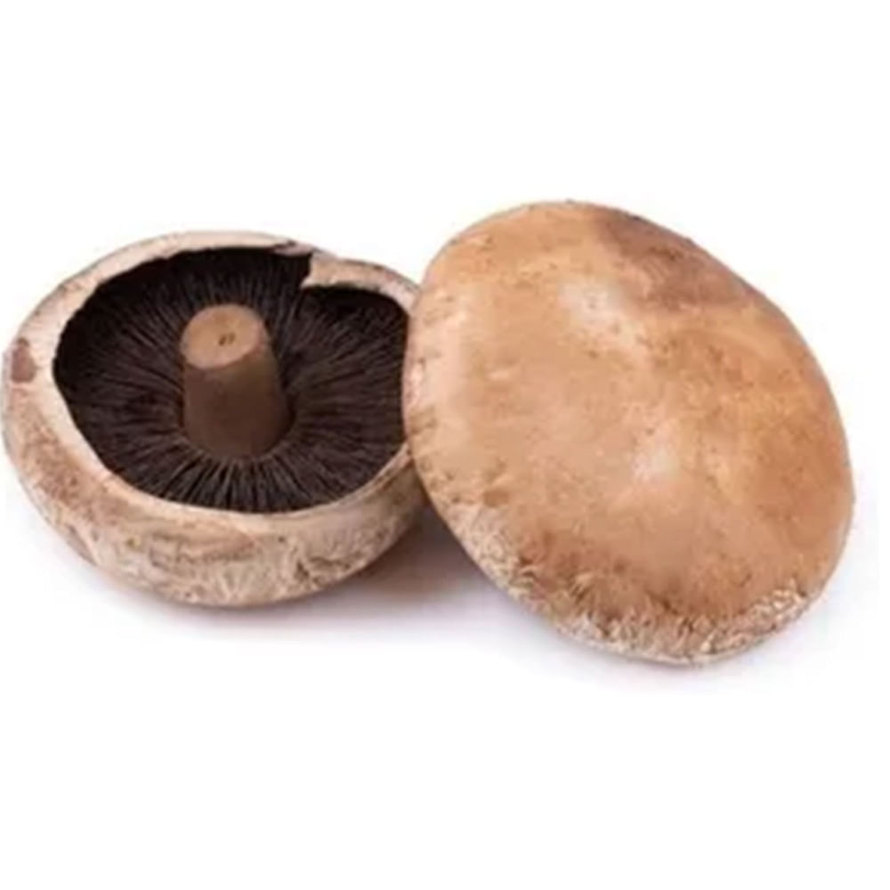 Champigñon portobello x kg.