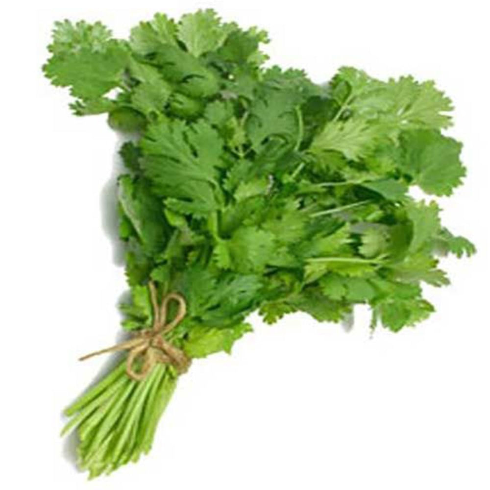 Cilantro x atado